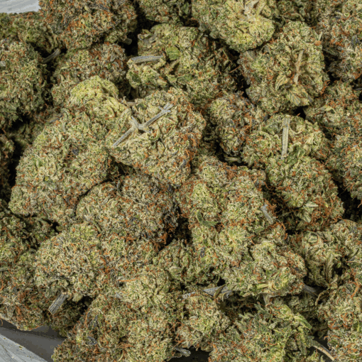 Greasy Pink Bubba (AAAA) - Image 5