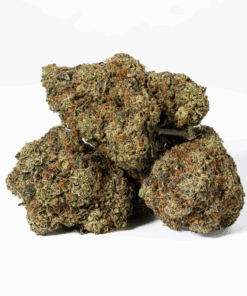 Gorilla Pink (AAA+)