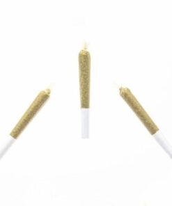 Premium Infused House Joints - 2 Pack