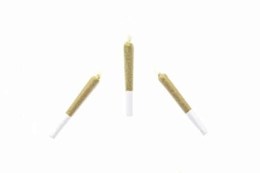 Premium Infused House Joints - 2 Pack