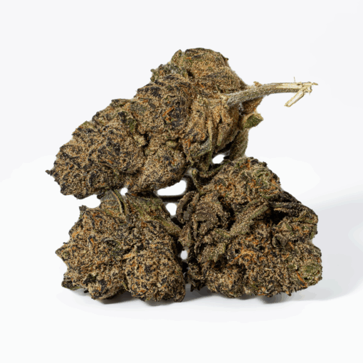Purple Pinecone (AA+) - Image 3