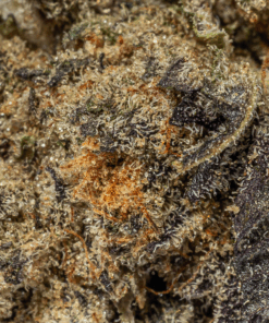 Purple Pinecone (AA+)