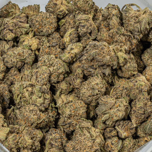 Purple Pinecone (AA+) - Image 5