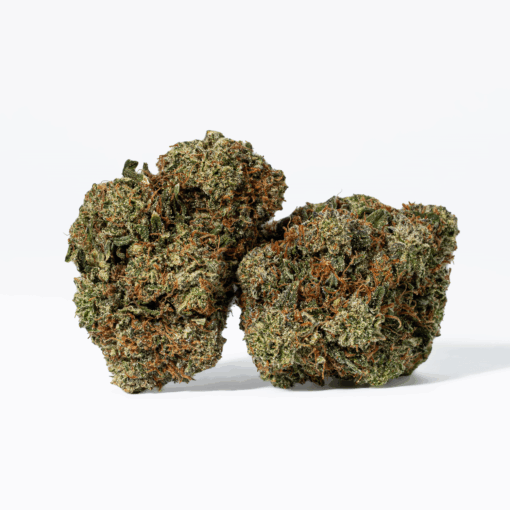 Rockstar Tuna (AAA+) - Image 2