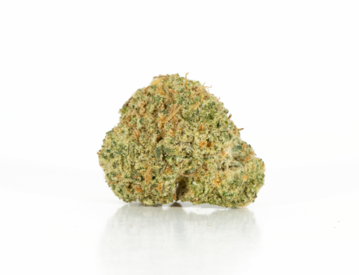 Rocket Fuel (AAA+) - Image 3