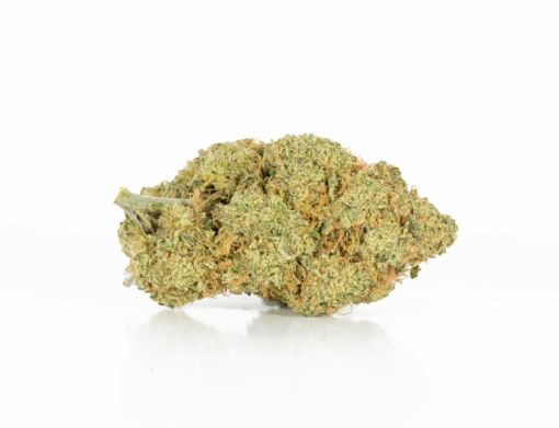 Rocket Fuel (AAA+) - Image 2