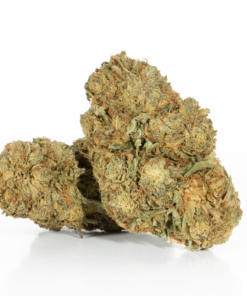 Romulan (AA)