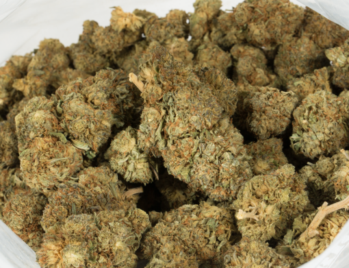 Romulan (AA) - Image 3