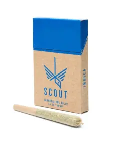 Scout - 5 Pack Pre-Rolls (0.5g) - Indica