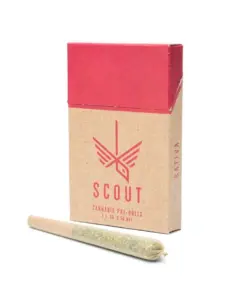 Scout - 5 Pack Pre-Rolls (0.5g) - Sativa