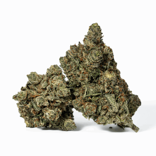 Purple Aurora (AAA+) - Image 2