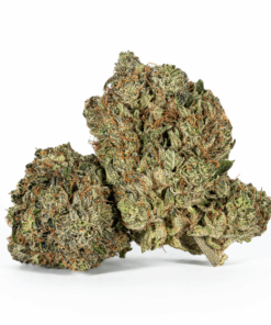 Ultra Pink (AAA+)