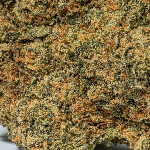 Lime Chernobyl (AAA)