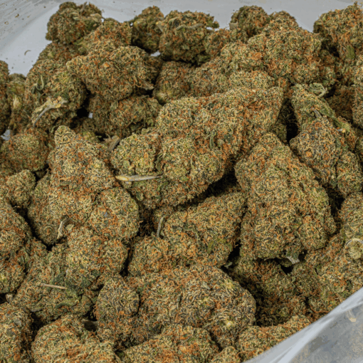 Lime Chernobyl (AAA) - Image 5