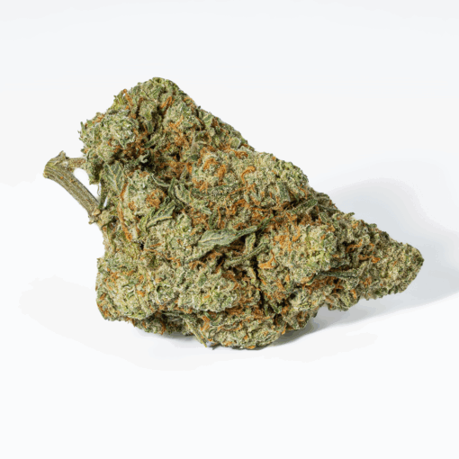 Super Nuken (AAA) - Image 4
