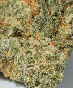 Super Nuken (AAA)
