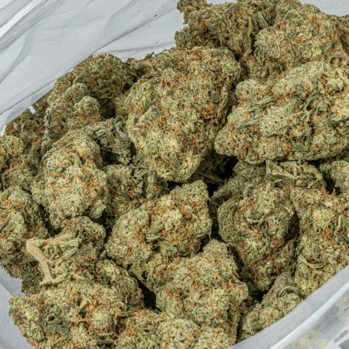 Super Nuken (AAA) - Image 5