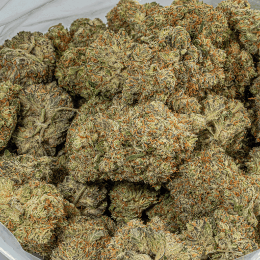 Montana Silver (AAA)