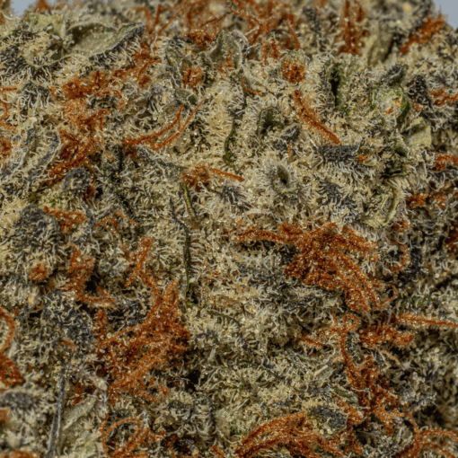 Peyote Cookies (AA+)