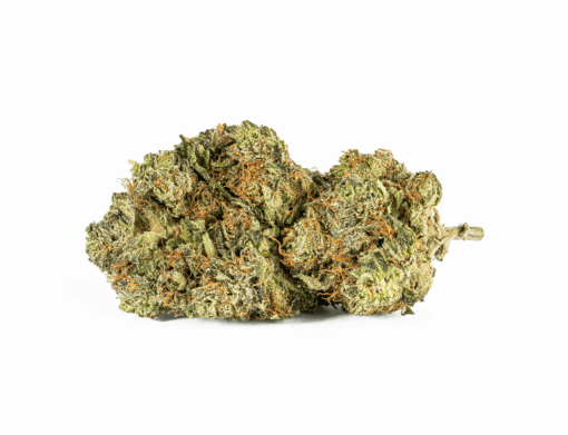 El Jefe (AAA+)