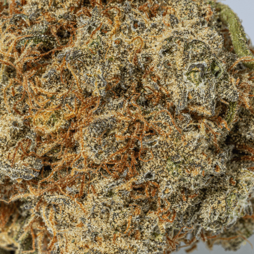 Orange Julius (AA+) - Image 5