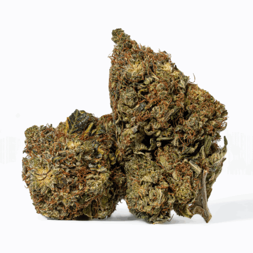 Island Sweet Skunk (AA) - Image 2