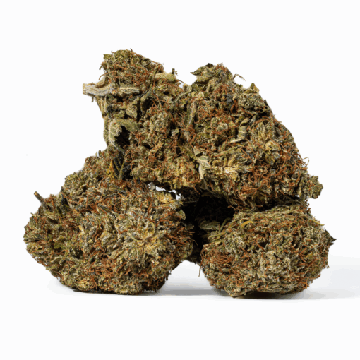 Island Sweet Skunk (AA) - Image 3