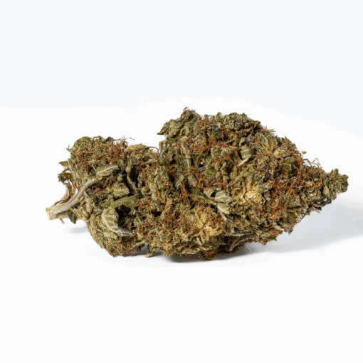 Island Sweet Skunk (AA) - Image 4