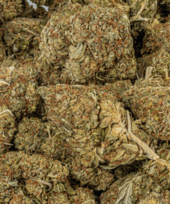 Island Sweet Skunk (AA)