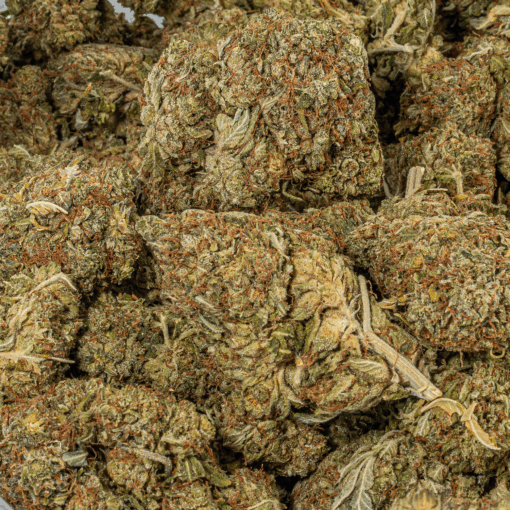 Island Sweet Skunk (AA)
