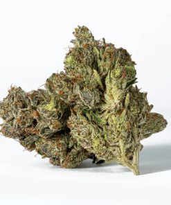 Ghost Ship (AAA+)