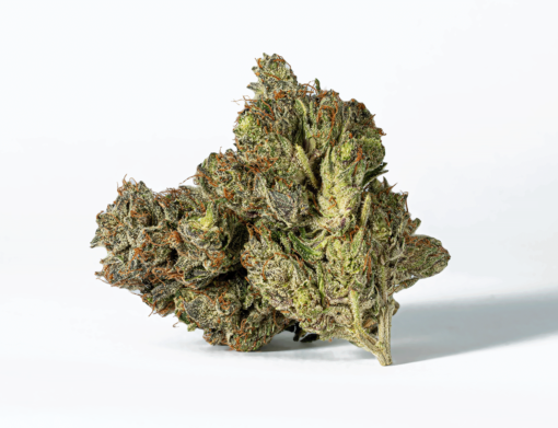 Ghost Ship (AAA+)
