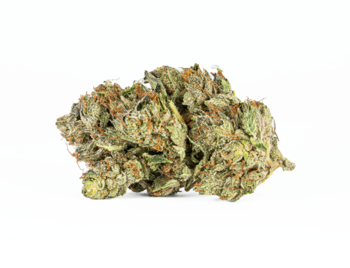 Ghost Ship (AAA+) - Image 3