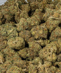 Ayahuasca Purple (AA+)