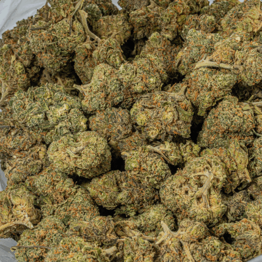 Ayahuasca Purple (AA+)