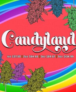 Candyland is a sativa-leaning hybrid made from the iconic Granddaddy Purple and Platinum Cookies. This strain is well-loved for its energizing and euphoric effects, making it a top pick for daytime smokers who want to stay upbeat, focused, and inspired.