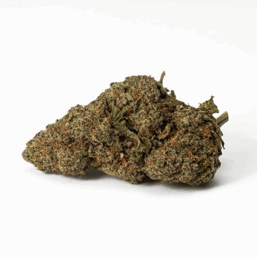 Flintstones (AA+) - Image 3