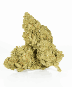 Mango Lemonade (AA)