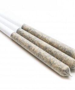 House Pre-Rolls 2g (Live Soil) - Master Kush