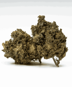 AK-47 (AAA)