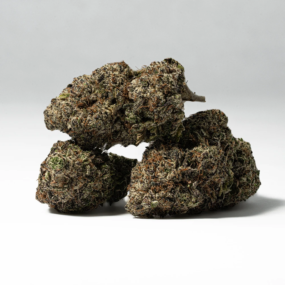 9LB Hammer (AAAA) - Image 3