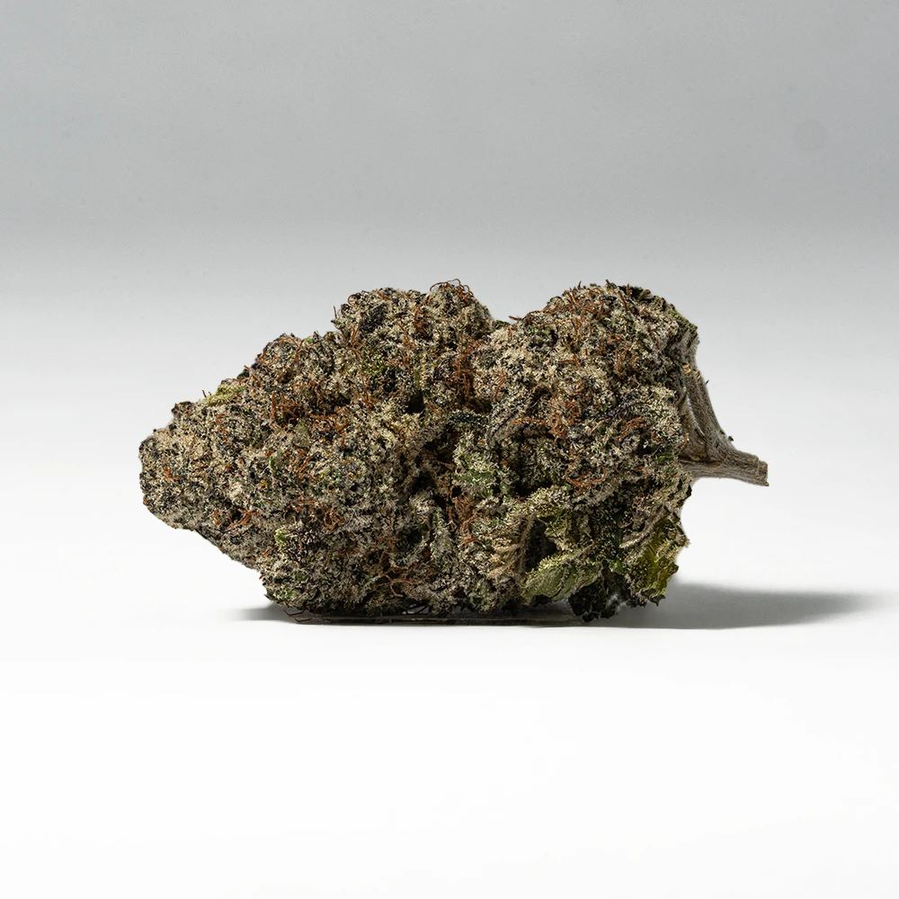 9LB Hammer (AAAA) - Image 2