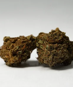 (Smalls) Black Jack (A)