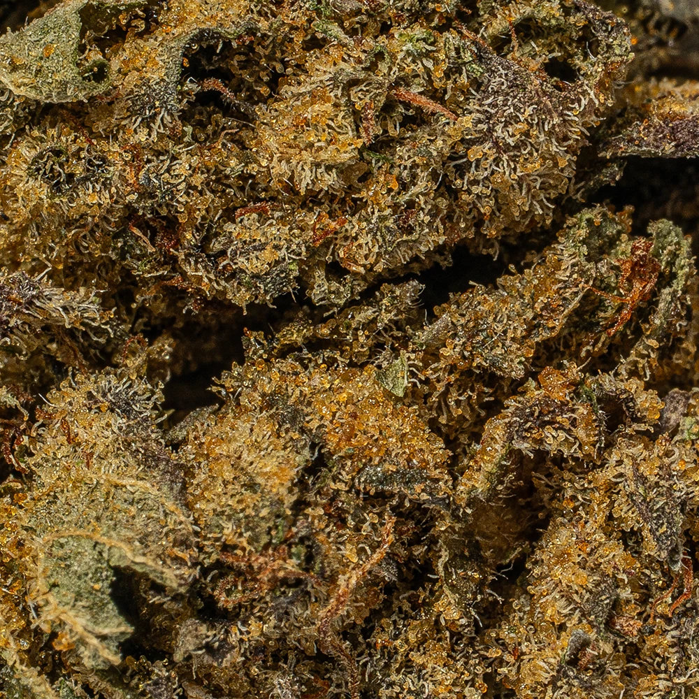Chem Dawg (AA+) - Image 4