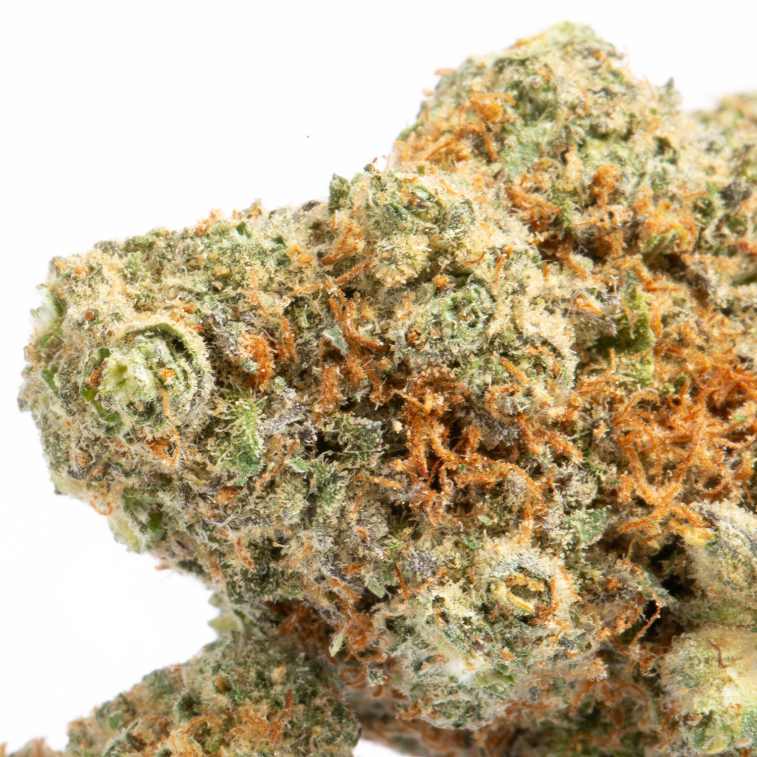 Cake Pop (AAA) - Image 2