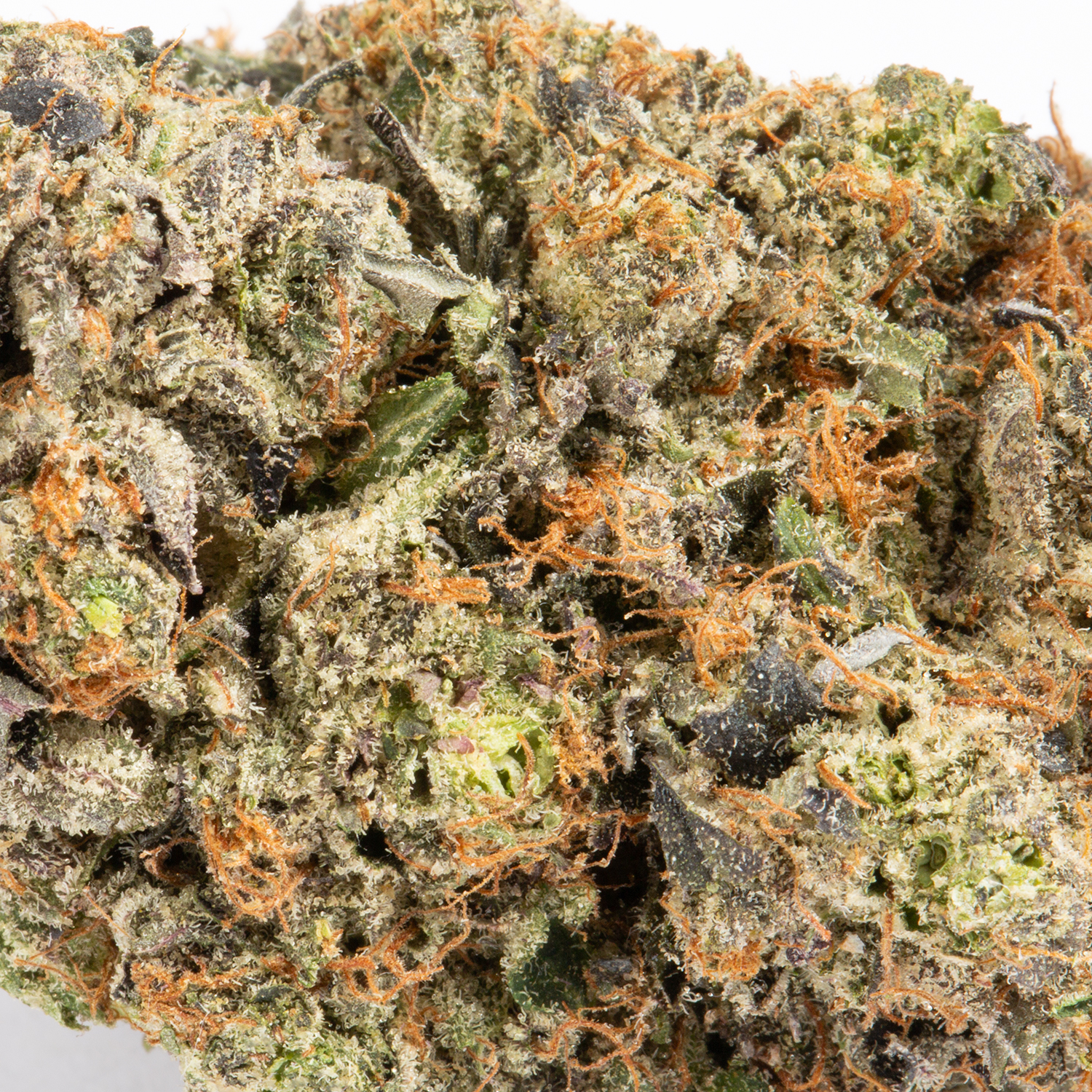 Double Purple Afgooey (Craft) - Image 2