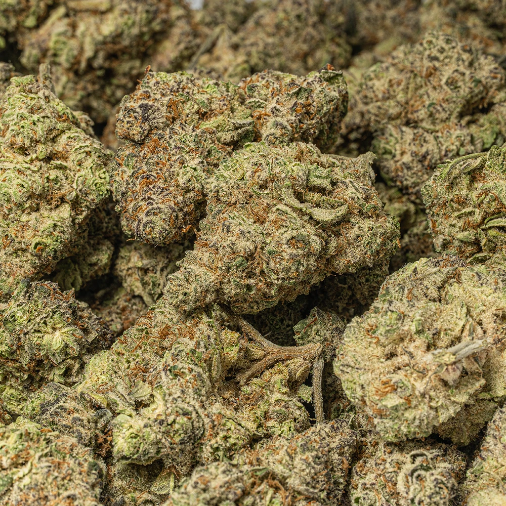 Poison Fruit (AAA+) - Image 5