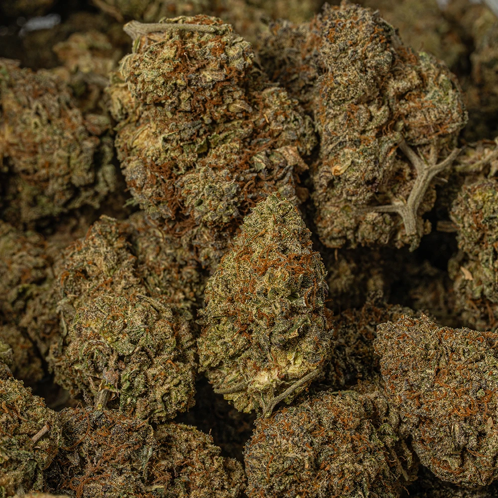 Sunburst (AA+) - Image 4