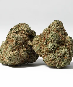 White Thunder (AAA+)