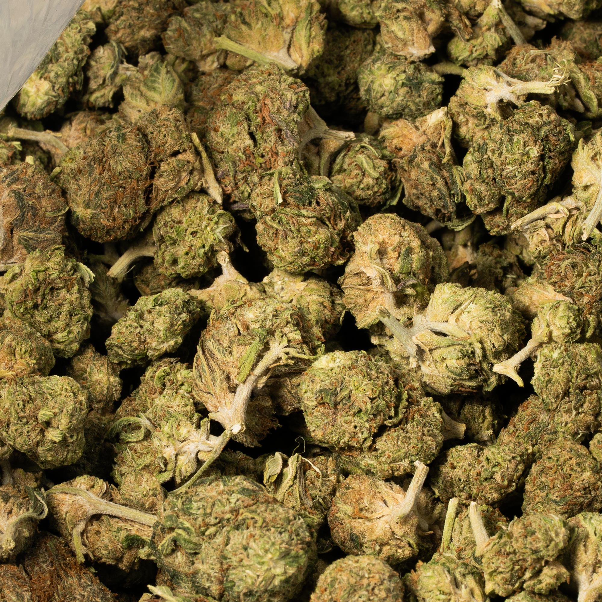 Black Bubba (AA) - Image 5